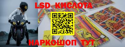 ГАЛЛЮЦИНОГЕННЫЕ ГРИБЫ Сланцы