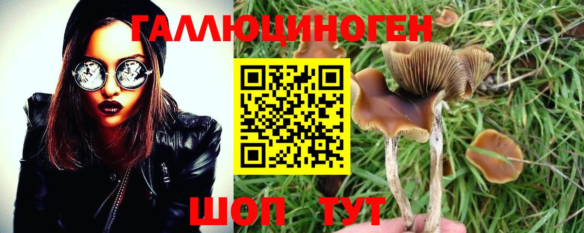 Галлюциногенные грибы мицелий  Вход с VPN  магазин    Дальнегорск 