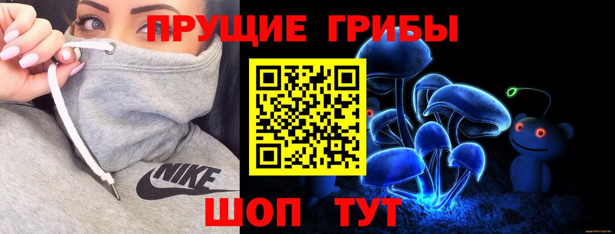 Галлюциногенные грибы ЛСД Дальнегорск